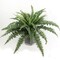 2-Pack – 34" UV Resistant Artificial Boston Ferns with 42 Fronds Each – Realistic Indoor/Outdoor Faux Plants for Hanging Baskets, Planters & Home Decor